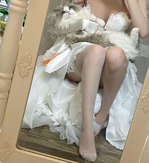 猪猪侠之英雄猪少年