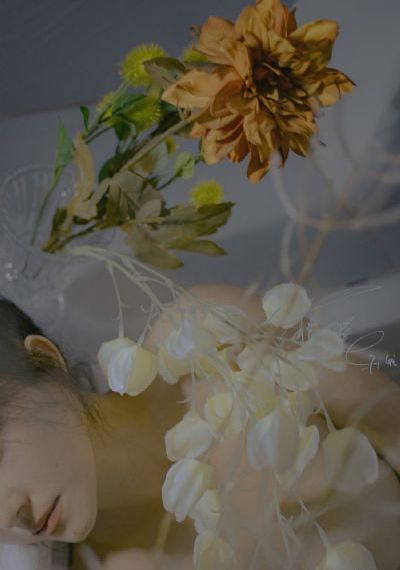 《愤怒的因纽特人》电影在线观看